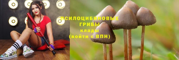 шишки Богданович