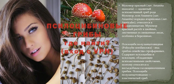 прущие крисы Богородицк