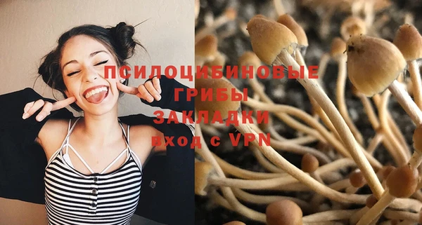 гашиш Богородск