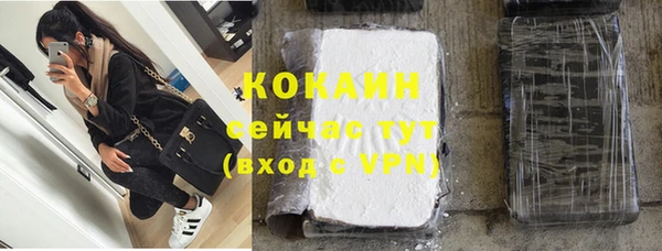шишки Богданович